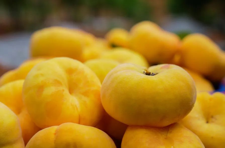 晋宁诗意的栖居地