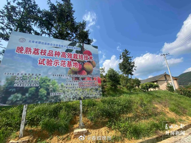 山水家园 甜蜜屏边｜绿色产业美了山林，鼓了腰包