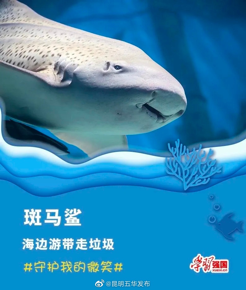 昆明五华发布