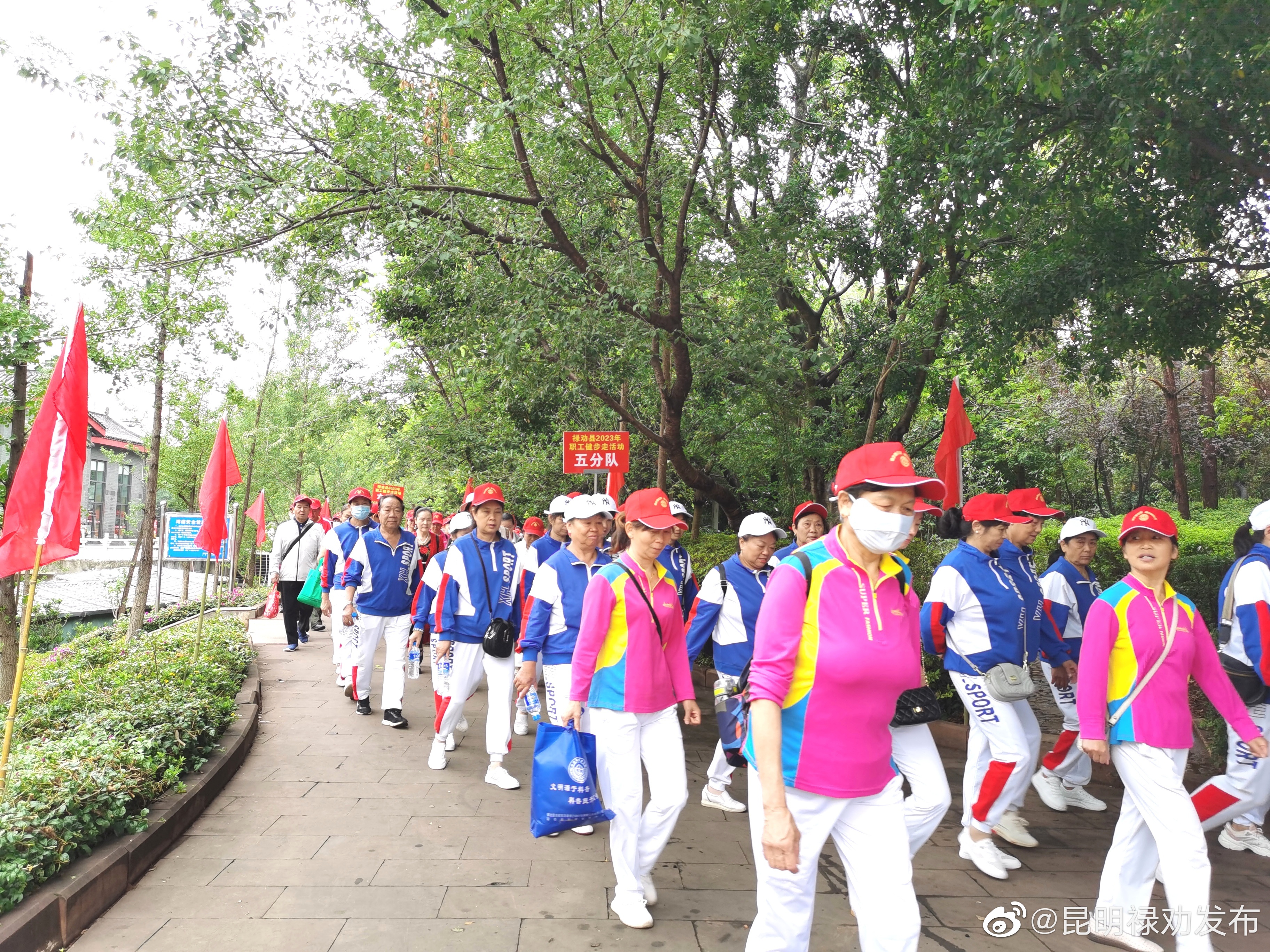昆明禄劝发布