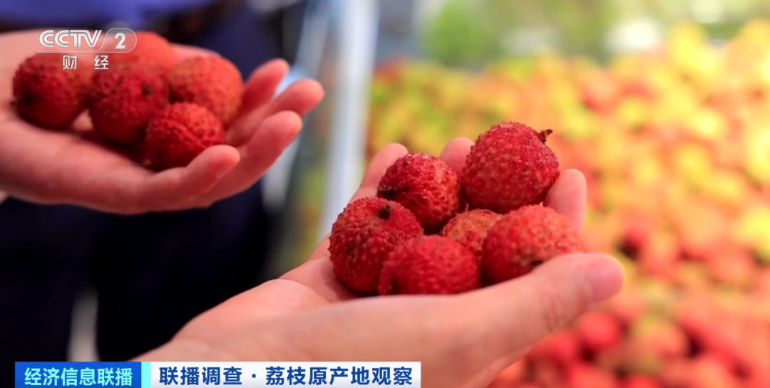 昆明信息港/cnkmxxg