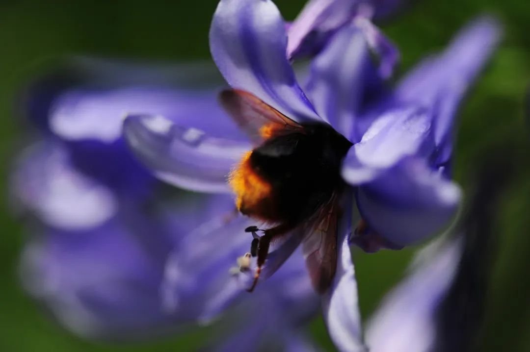 昆明市金殿名胜区