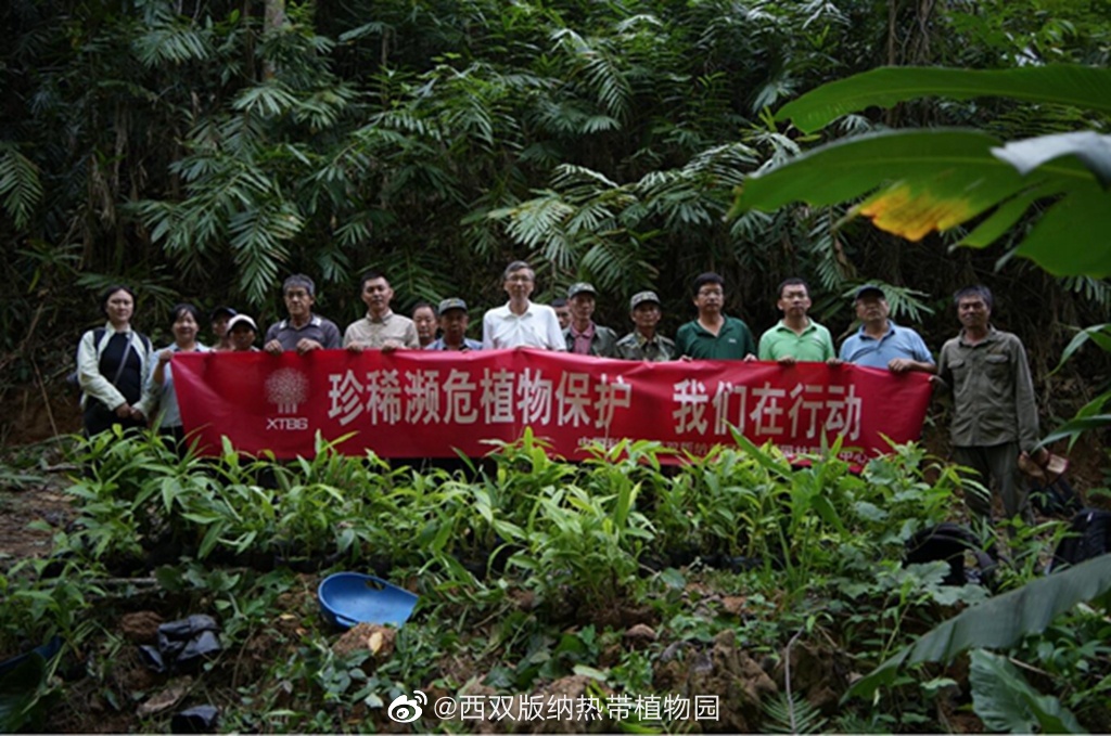 西双版纳热带植物园