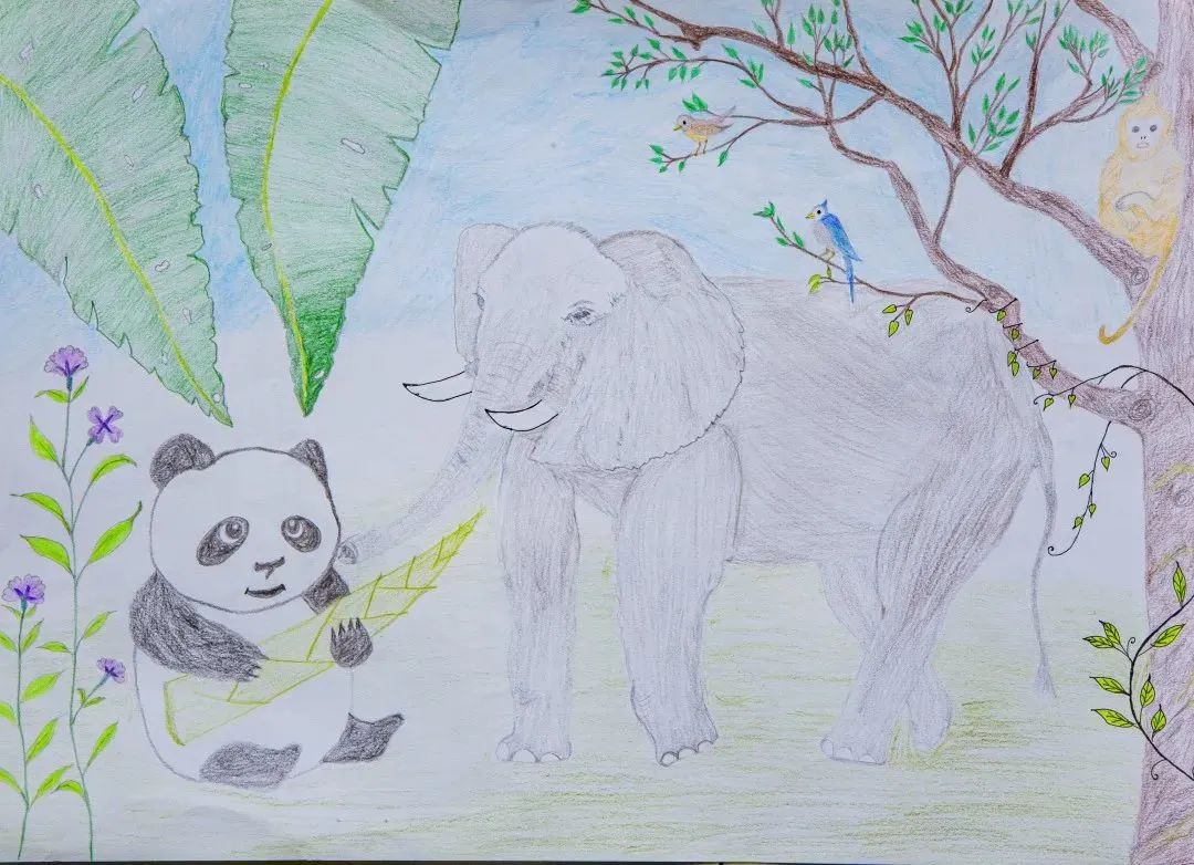 云南野生动物园