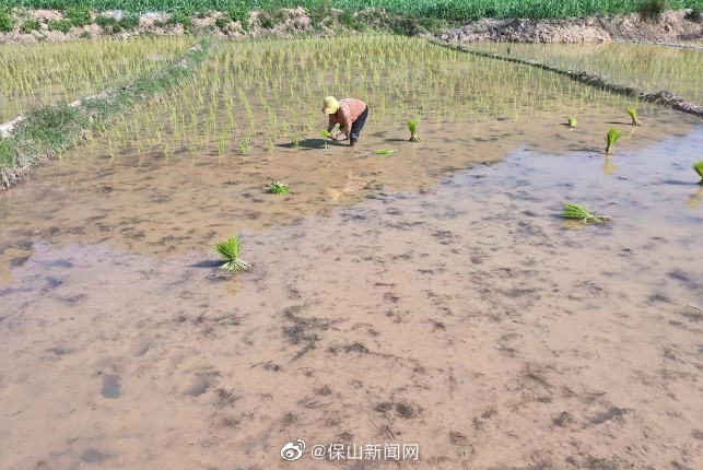 保山新闻网