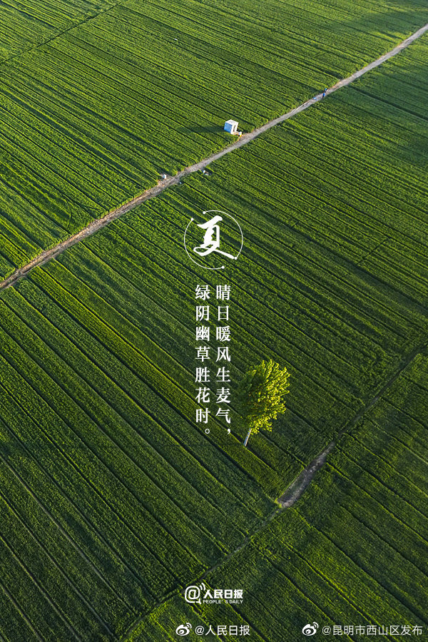 昆明市西山区发布