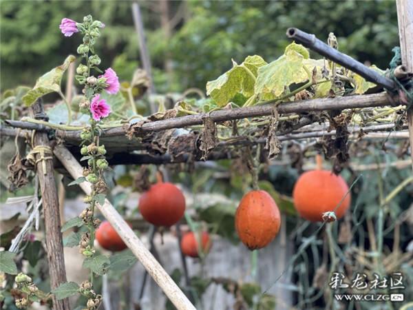 云南省文化和旅游厅