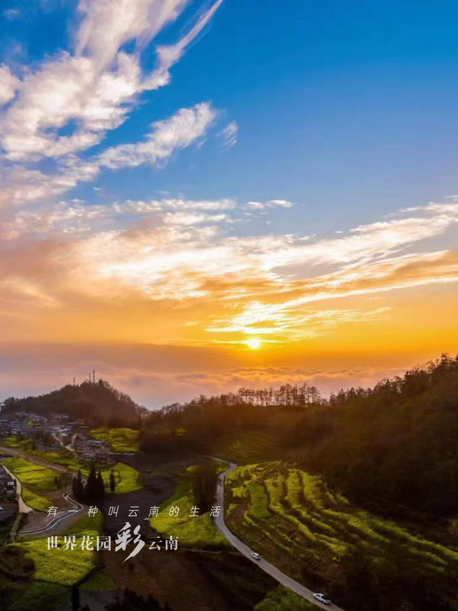 云南省文化和旅游厅