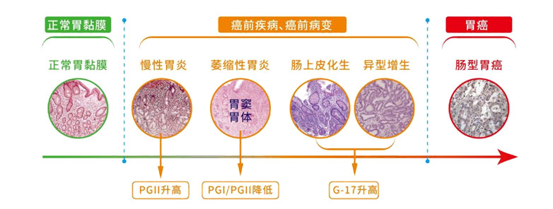 云南省文山州人民医院