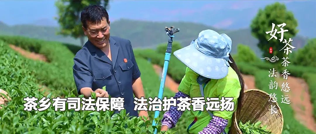 云南政法