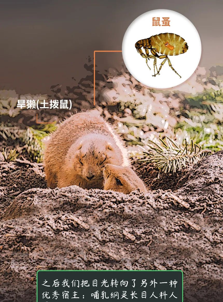 云南疾控