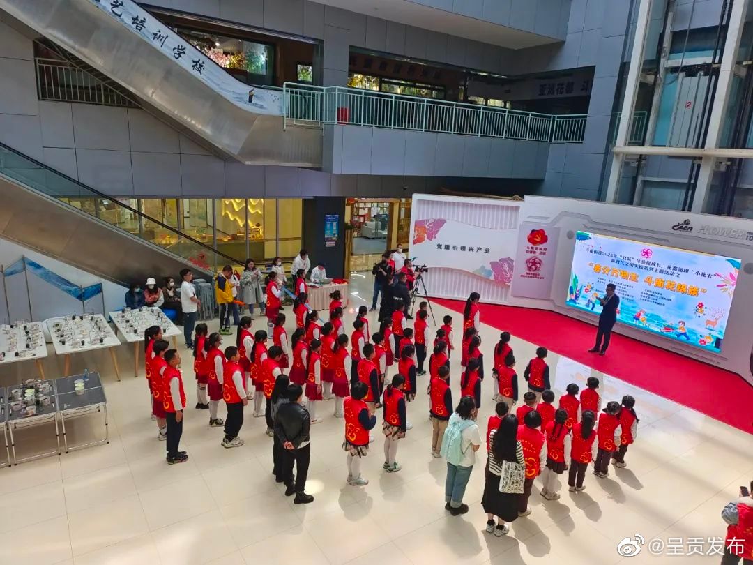 呈贡区优秀志愿服务项目展示 | “七色堇”志愿服务项目