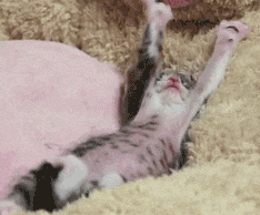 伸懒腰也有正确姿势