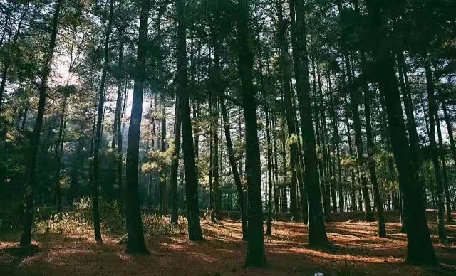 保山新闻网
