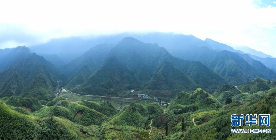 云南省文化和旅游厅