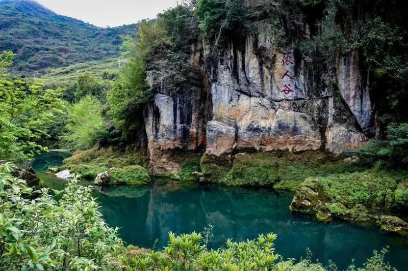 云南省文化和旅游厅