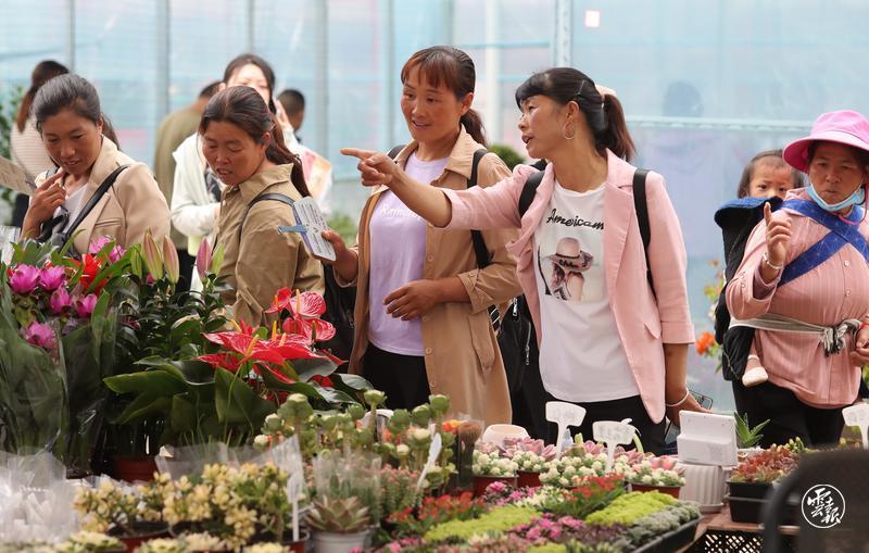 云南省文化和旅游厅