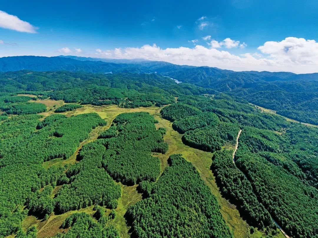 云南省文化和旅游厅
