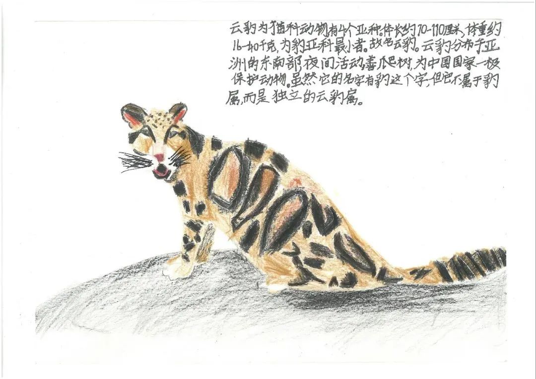 云南野生动物园