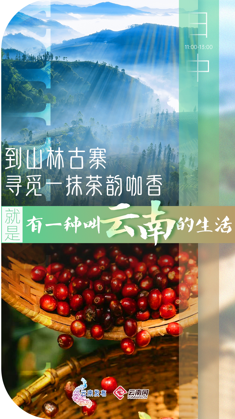 云南省文化和旅游厅
