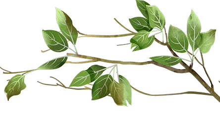 云南省中医医院