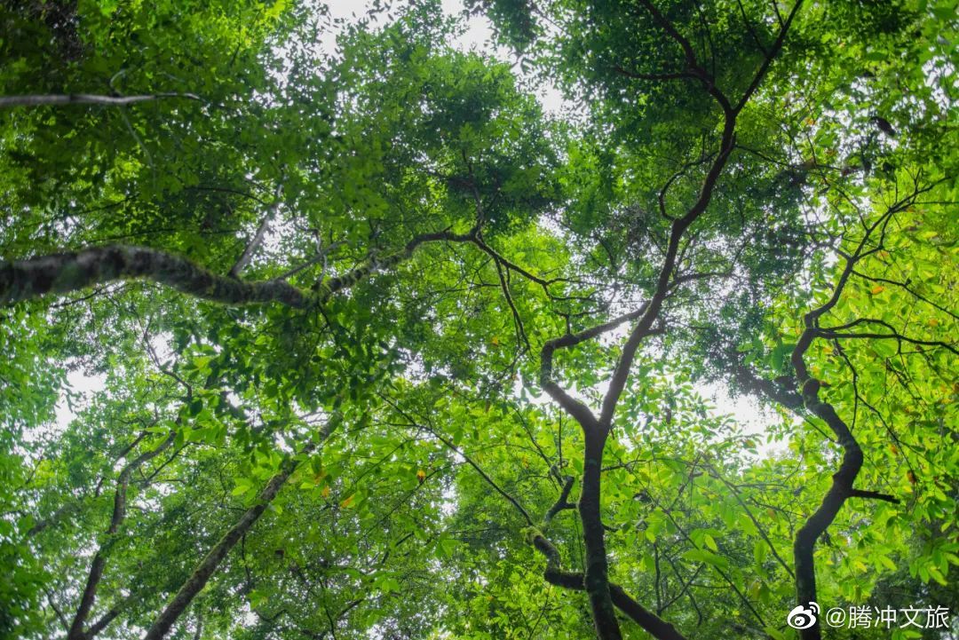 腾冲文旅