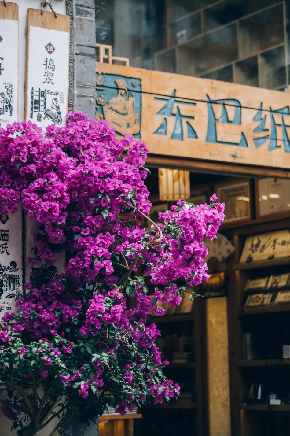 微丽江