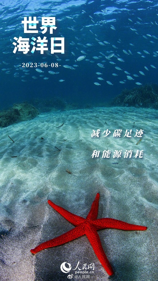 人民网
