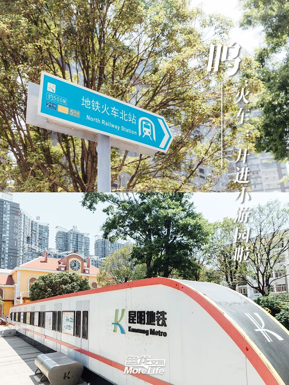 盘龙统战