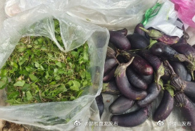 昆明盘龙发布