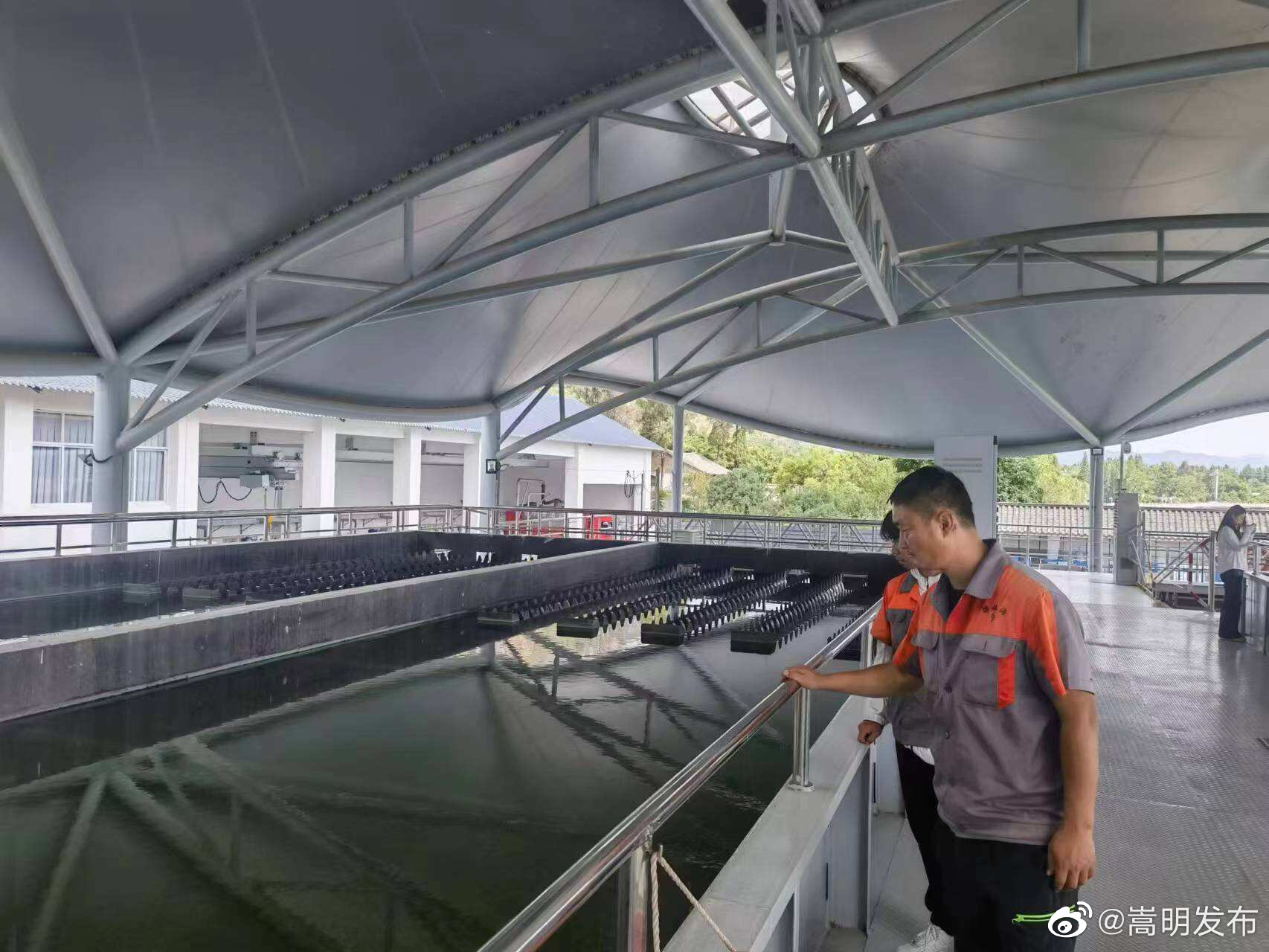 嵩明发布