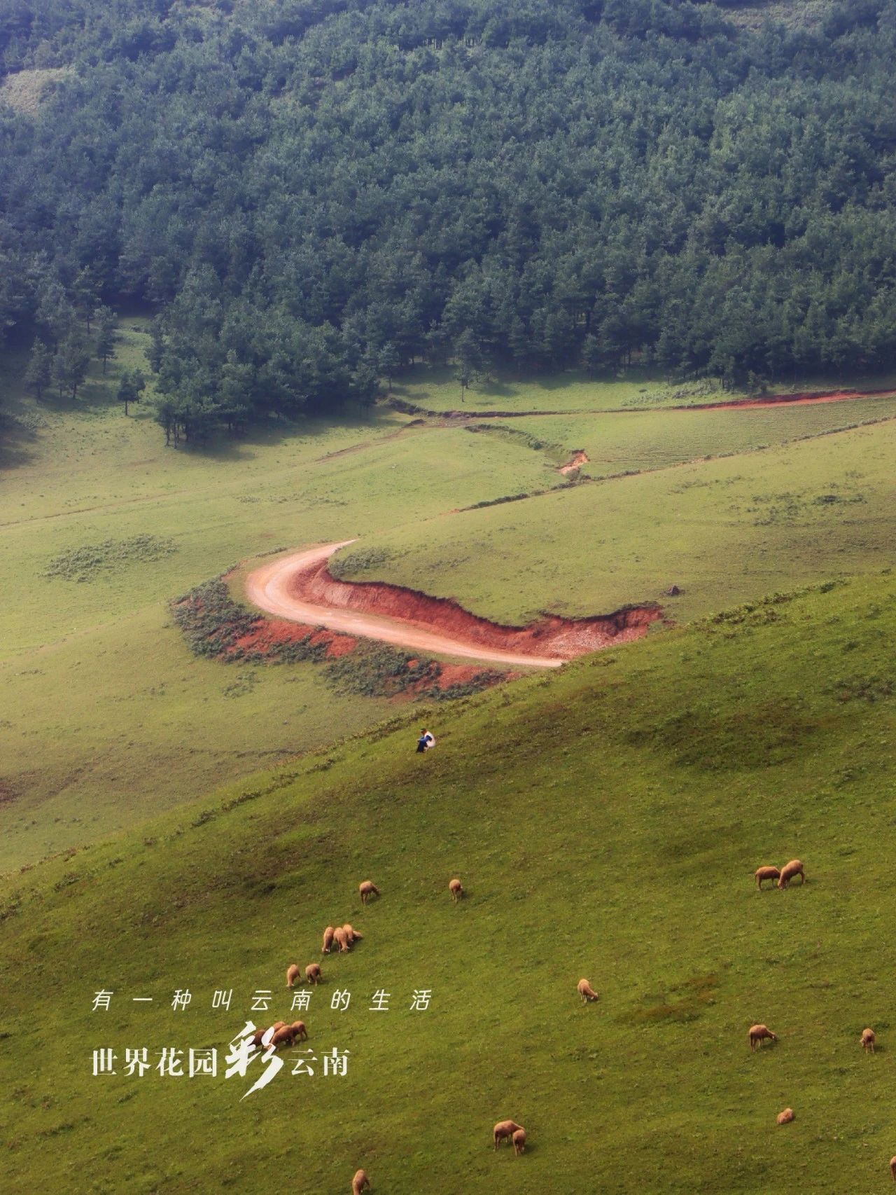 云南省文化和旅游厅