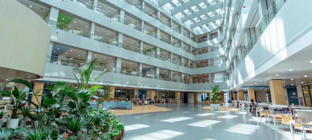 云南省招生考试院