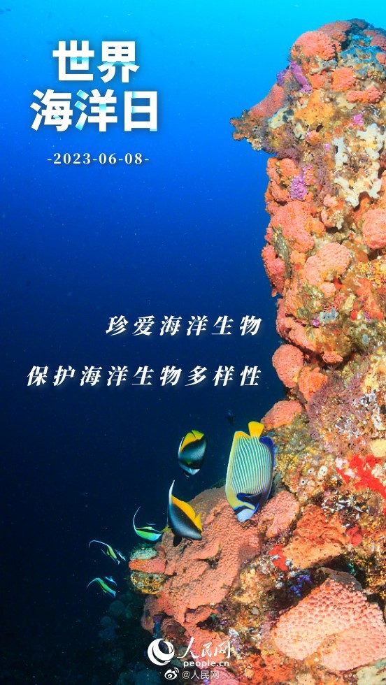 人民网