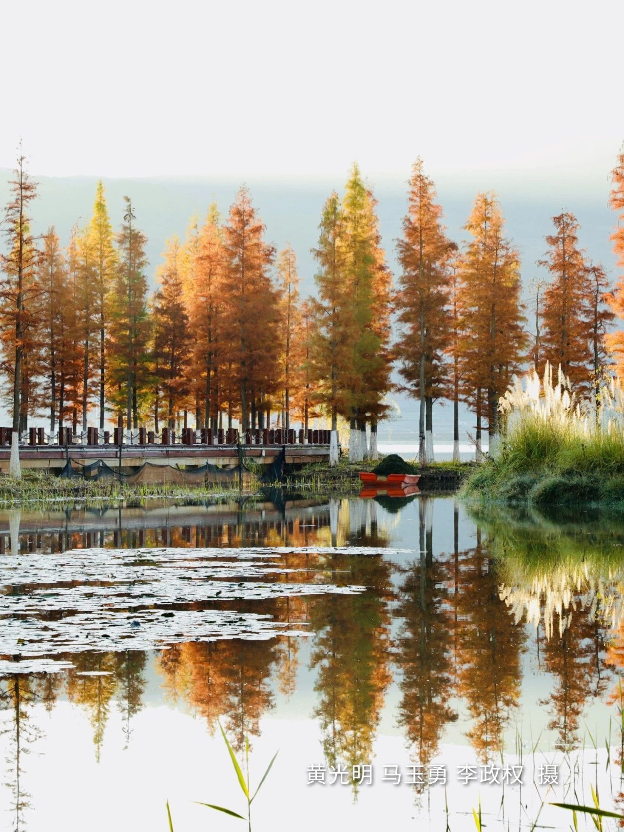 云南省文化和旅游厅