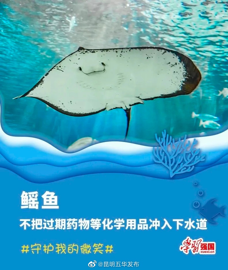 昆明五华发布