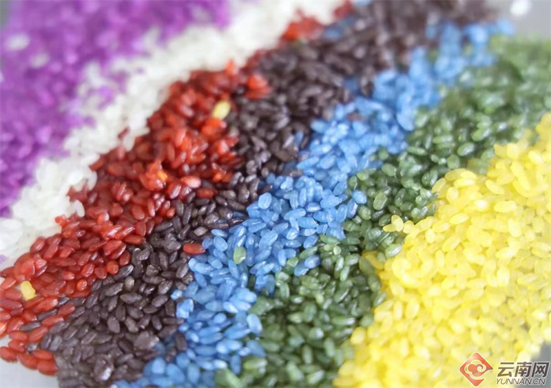 云南省文化和旅游厅