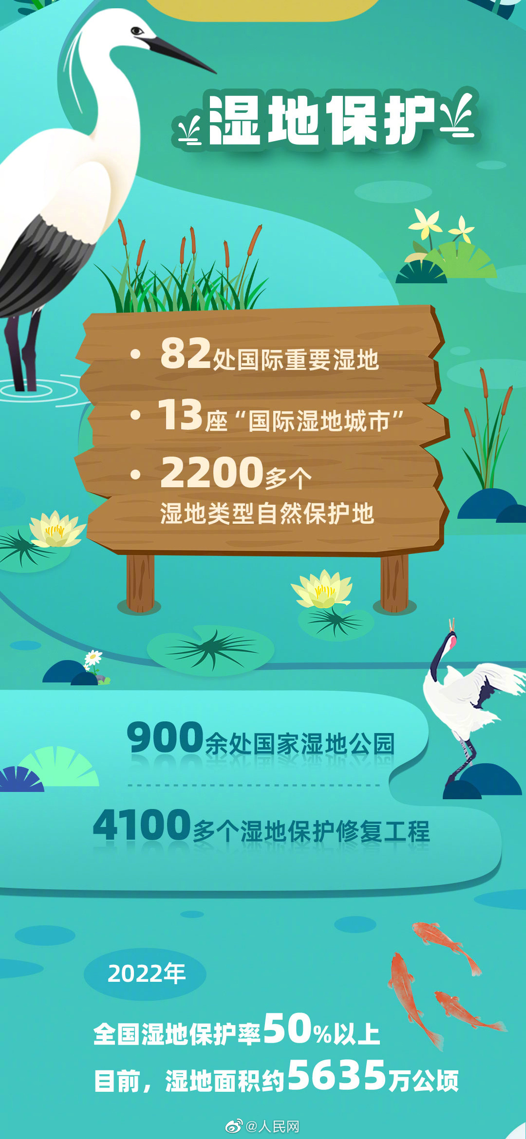 人民网