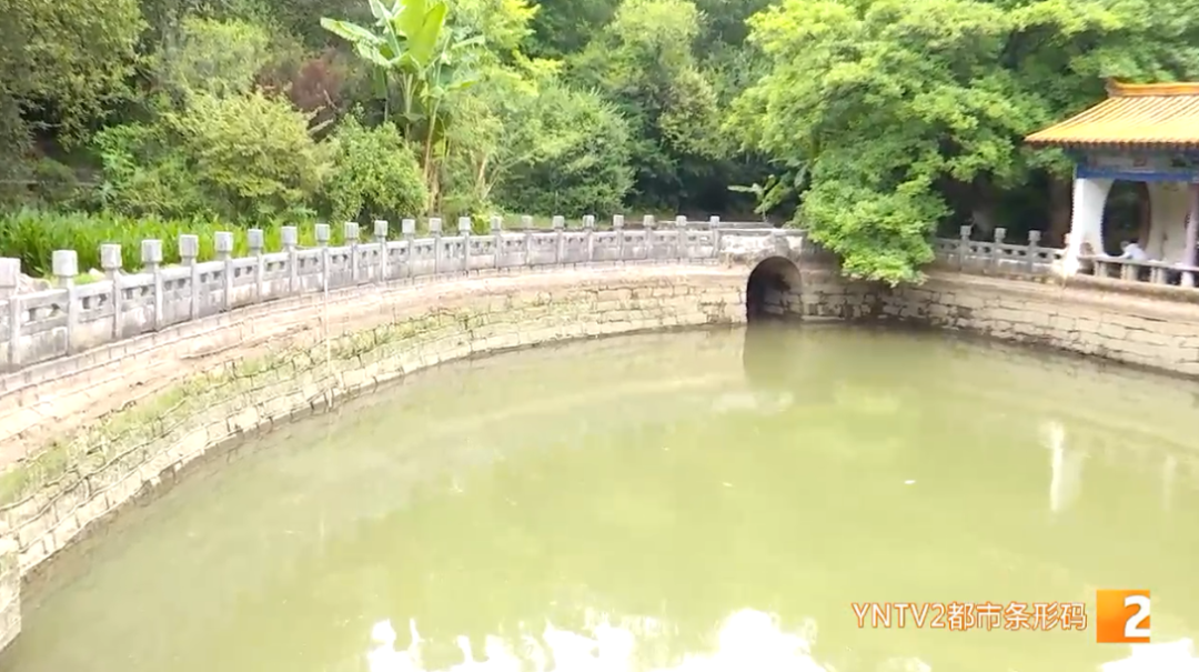 云南广播电视台微信