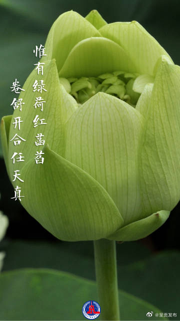 呈贡发布
