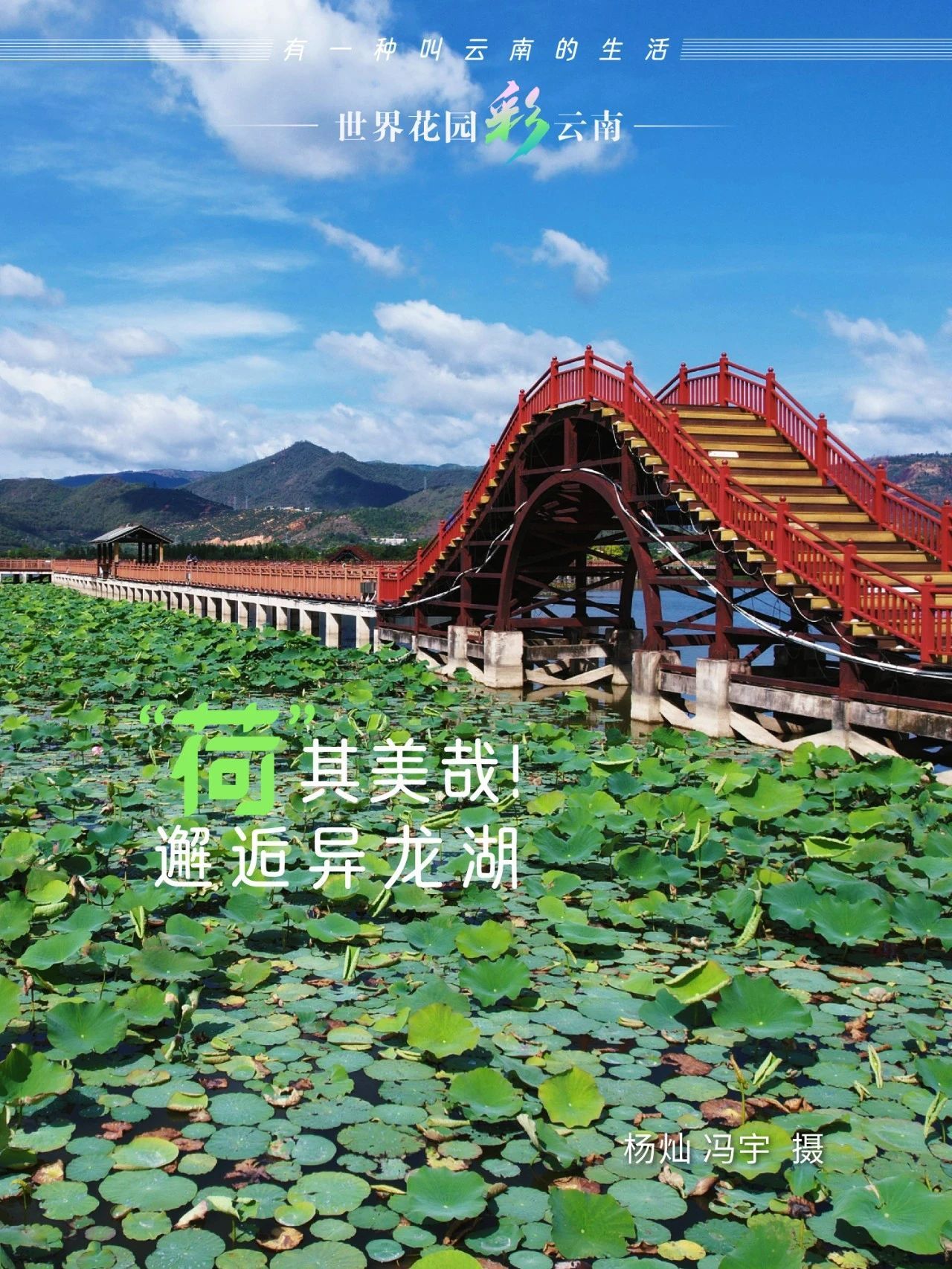 云南省文化和旅游厅