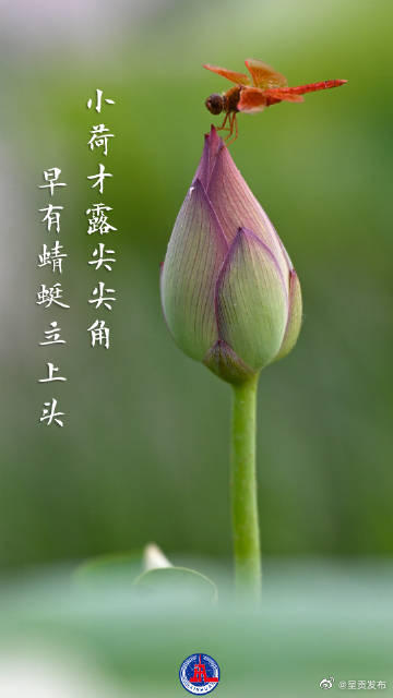 呈贡发布