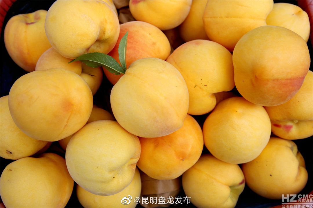 昆明盘龙发布