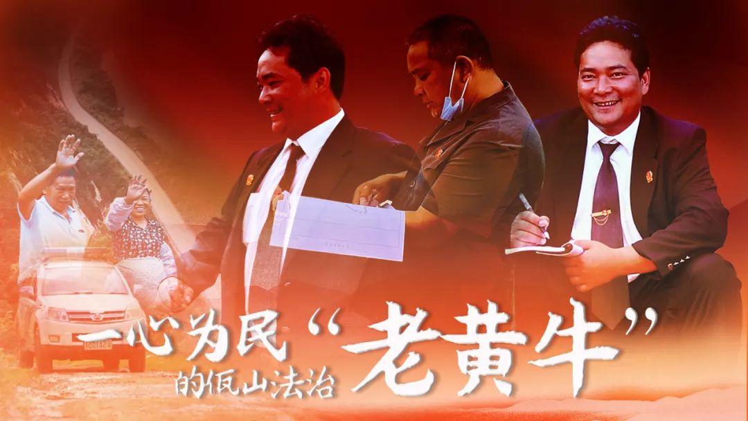 云南政法