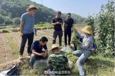 昆明盘龙发布