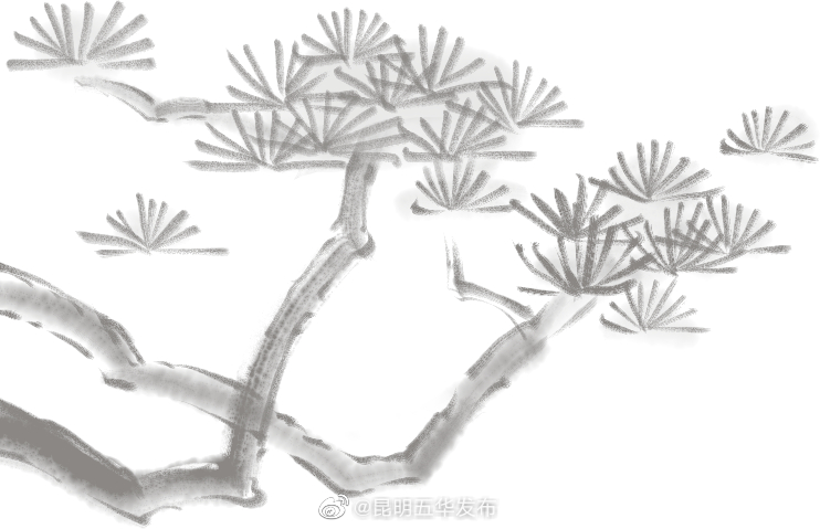 昆明五华发布