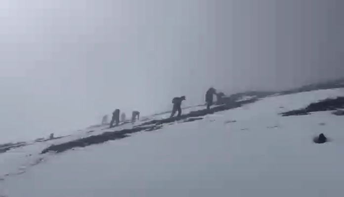 云南政法