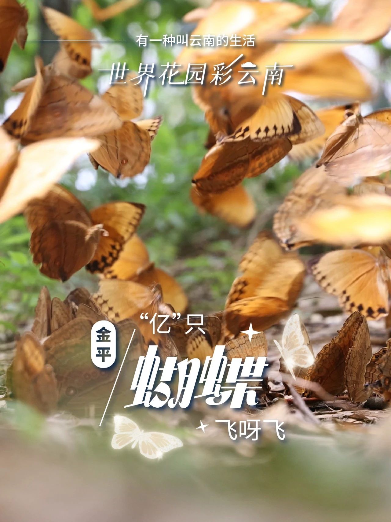 云南省文化和旅游厅