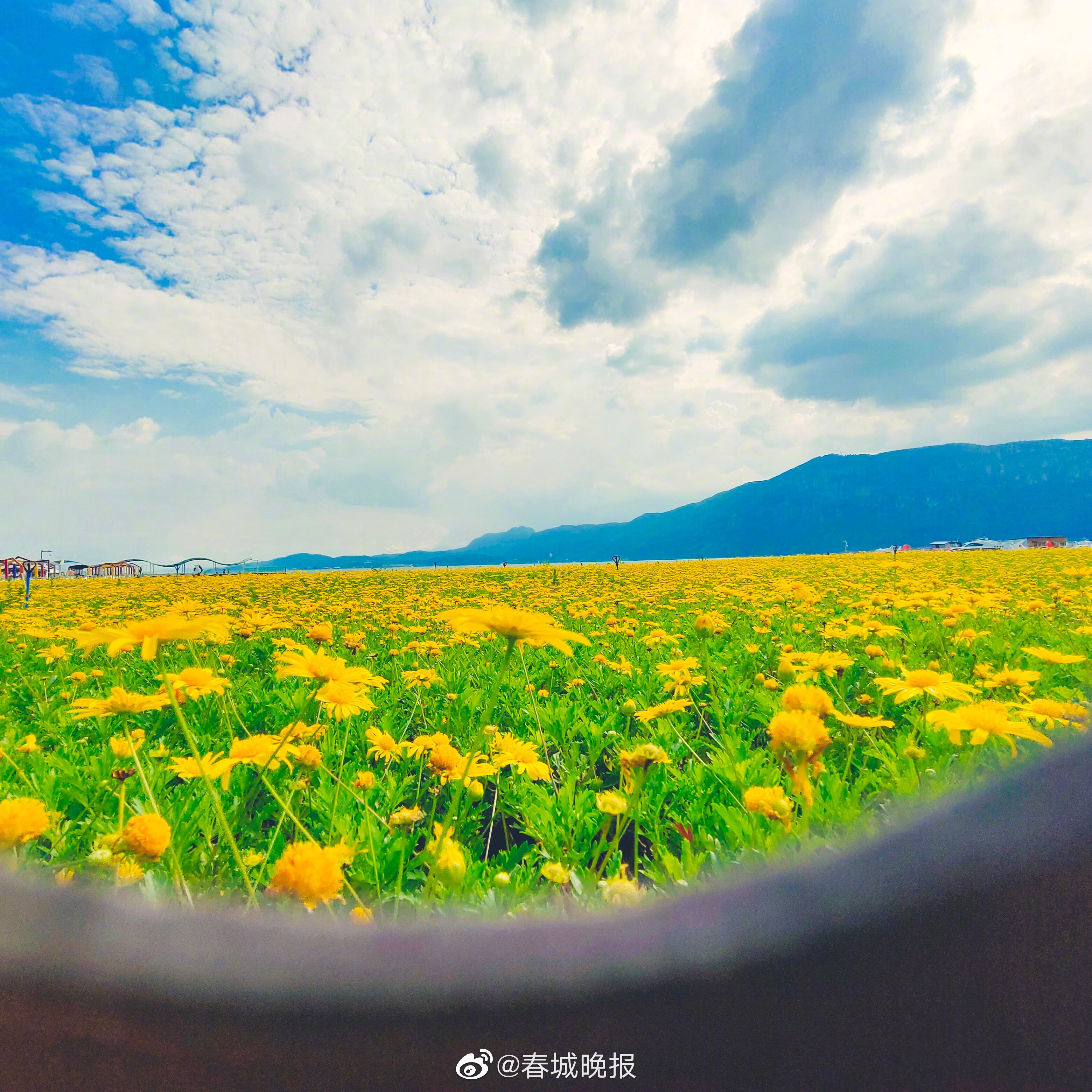 多地官宣：免费！优惠！ 