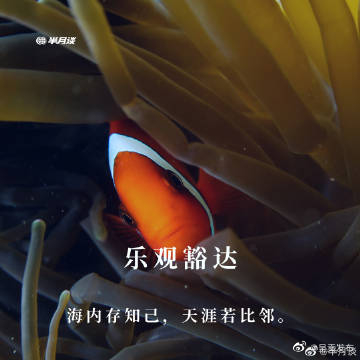 呈贡发布